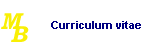 Curriculum vitae